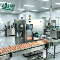 Système d'inspection visuelle des cartons d'œufs à 6 faces BMG |   Machine de rejet automatique avec détection d'étiquettes supérieures OCR pour emballages alimentaires, garantie 1 an
