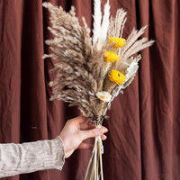 Moederdag Valentijnsdag Pasen Ge conserveerde bloem Pampas Eeuwigdurend boeket 40-50cm Snelle levering Thanksgiving Terug naar school Decoratie