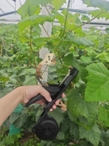 Machine à lier les plantes portative, outil Tapener pour raisins, tomates, concombres - Product Image 6