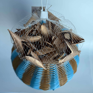 Set di Fette di Legno Naturale Arrotolate Champagne per Decorazione Murale, Ideale per <span class=keywords><strong>Natale</strong></span> <span class=keywords><strong>e</strong></span> Festività - Product Image 4