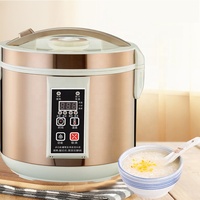 Cuve de fermentation domestique pour lait, yaourt, bière, machine à fermenter l'ail
