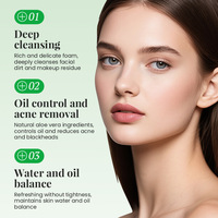Nettoyant visage à l'aloe vera, nettoyant et hydratant, 100 ml, protecteur, doux pour la peau, rafraîchissant, non desséchant, mousse riche