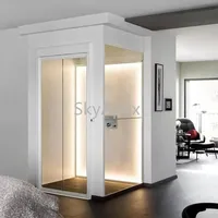 Ascenseur hydraulique résidentiel personnalisé, petit, silencieux, capacité de charge de 300 kg, certifié CE, installation facile, intérieur/extérieur, ascenseur domestique