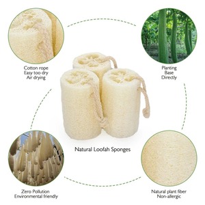 แปรงขัดผิวใยบวบธรรมชาติ อุปกรณ์อาบน้ำสปา ทำความสะอาดอเนกประสงค์ สำหรับห้องน้ำ ห้องครัว ทำความสะอาดทุกวัน - Product Image 3
