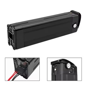 Silver Fish 48V 20Ah Lithium Ion Battery 48V BMS Pack avec chargeur 1500W pour 250W 400W E-Bike Scooter Bicycle - Product Image 5