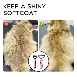 Spazzola da Bagno per Cani in Acciaio Inox e TPR, Pettine a Doppia Faccia per Rimozione Nodi e Pelo di Gatti, Sicuro e Portatile - Product Image 5