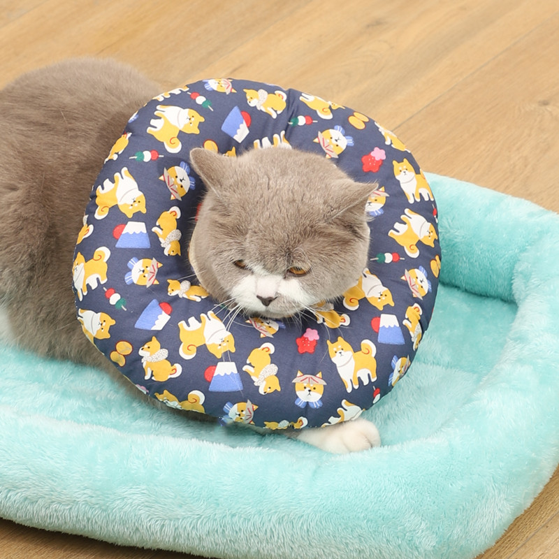 สุนัขอาคิตะสีน้ำเงินทิเบต