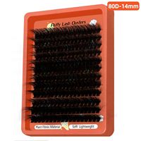 Cils bioniques 3D épais OEM 100D/200D Fluffylash Conformes à CPNP et EU EC REP