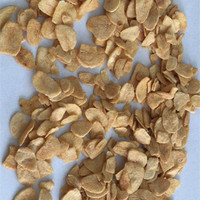 Granulés d'ail frits à l'air de haute qualité, origine chinoise, vente chaude à l'exportation