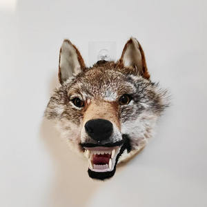 Cabeza de <span class=keywords><strong>lobo</strong></span> realista, montaje en pared, decoración gótica para el hogar, dientes feroces, Interior de lujo para Halloween, Navidad, Diwali, piel sintética, taxidermia - Product Image 1