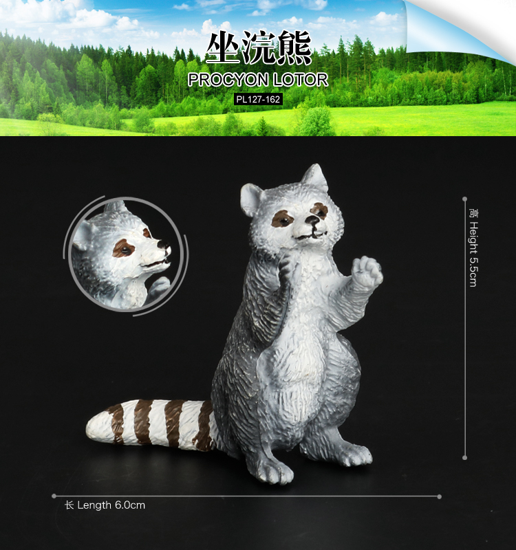 162 Raton laveur assis