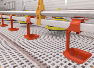 Núm vú uống tự động cho Gà Thịt và các lớp - Product Image 4