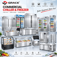 Machine Commerciale Électrique Automatique pour Crêpes, Rouleaux d'Œufs, Pancakes, Rouleaux de Printemps, Gâteaux en Couches et Gâteaux Mille-Feuilles