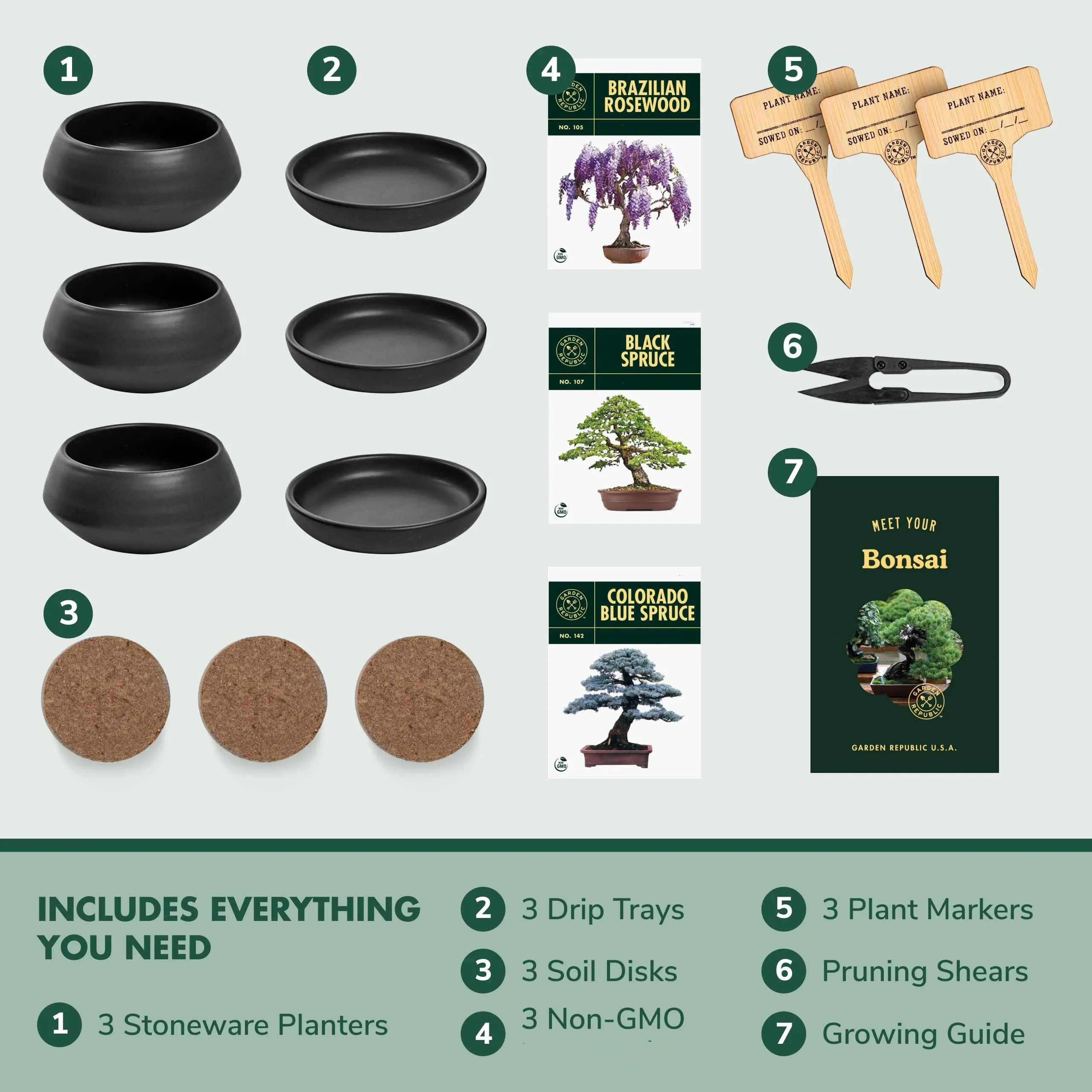 Kit d'arbre bonsaï cultiver 3 mini arbres bonsaï Kit de culture de plantes d'intérieur Kit de plantes pour la science