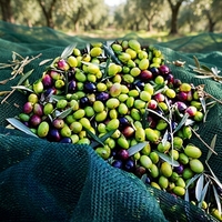 Goede kwaliteit vierkante gaas mono landbouw oogstnet voor fruit en olijven