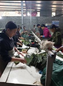 ใบไผ่แห้งสีเขียวธรรมชาติ ใบเต็ม สำหรับทำขนมจงซี ข้าวเหนียว ต้นกำเนิดจากเวียดนาม ความยาว 28-45 ซม. - Product Image 4