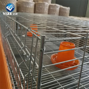 Macchina automatica per la raccolta delle uova/gabbia a strati di pulcino (fabbrica di Guangzhou) - Product Image 2