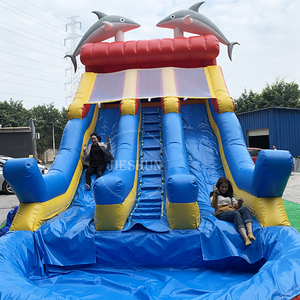 2020 Thiết Kế Mới PVC Ngoài Trời Mùa Hè Inflatable Dolphin TRƯỢT KÉP Trượt Và Trượt Nước Trượt Với Hồ Bơi Để Bán - Product Image 5