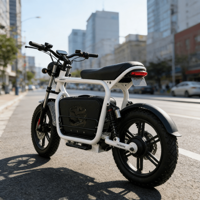 Nouveau modèle de vélo électrique hybride sport rétro 48v Mtb Dirt Chine Batterie au lithium Moped Trail Acheter Super Petits Vélos électriques Mini