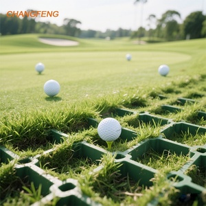 CHANGFENG Grille de pavés en gazon résistant HDPE à bas <span class=keywords><strong>prix</strong></span> pour terrain de sport de parking au Chili - Product Image 1
