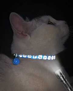 Lot de 2 colliers de chat réfléchissants Breakaway réglables de 7.5 à 12.5 pouces, bleu ciel avec cloche - Product Image 5