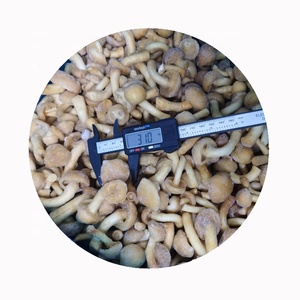 Hongos <span class=keywords><strong>Nameko</strong></span> Congelados IQF a Precio de Mayoreo, Cultivados, Grado A, Orgánicos, Saludables, Naturales, Nutritivos, Venta Directa de Fábrica - Product Image 3