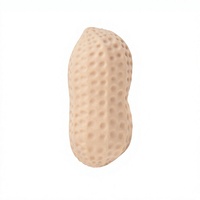 Jouets Squishy en forme d'arachide créatifs à rebond lent, jouet anti-anxiété et anti-stress, jouet de décompression amusant en forme de nourriture