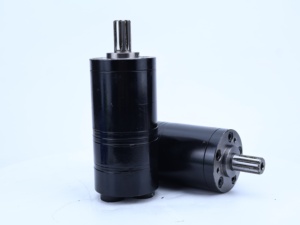ซีล NBR สำหรับกำจัด50cc OMM-50มอเตอร์ขนาดมินิแบบคงที่ OMM50 151G0229 OMM32 151G5046OMM32 OMM12.5 - Product Image 1