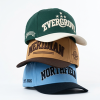 Gorra de Béisbol Personalizada Vintage con Bordado 3D en Relieve, de Dos Tonos, 5 Paneles, Visera Curva y Estructurada, Venta al Por Mayor