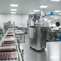 Machine de tempérage de chocolat contrôlée par PLC, conforme à la norme CE, cuve industrielle de 30 kg pour la fusion et le maintien au chaud du chocolat et du beurre de cacao