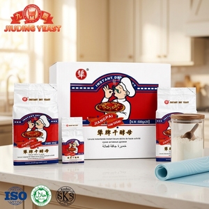 <span class=keywords><strong>Levain</strong></span> en poudre <span class=keywords><strong>professionnel</strong></span> pour boulanger 500g – Fermentation stable, longue durée de conservation, matière première pour la fabrication du <span class=keywords><strong>pain</strong></span>, facile à utiliser, scellé sous vide - Product Image 1