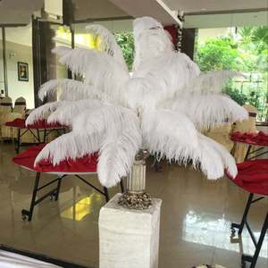 Fournisseurs de plumes en gros Décoration de plumes d'autruche artificielles teintes en plumes de fête pour costumes de carnaval