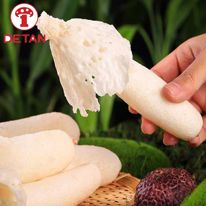 デタン白竹真菌中国輸出天然野生新鮮竹真菌 - Product Image 2