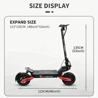 Trottinette électrique pour adultes 250W à propulsion simple 48V 13AH pliable pour trajets quotidiens 25KM/H cadre en alliage d'aluminium CE EN 17128 OEM