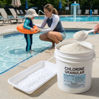 March EXPO Pure White Hard Pressed Slow Dissolving 99% Kemurnian Tinggi Pengolahan Air Kolam Renang Pembersih Kolam Granular