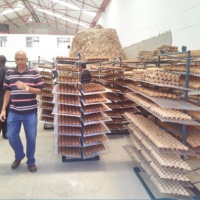 Machine de fabrication de barquettes à œufs en pâte à papier à haute capacité, contrôlée par PLC, avec boîte de vitesses, moteur à engrenages et pompe, pour l'Afrique, à prix compétitif, pour cartons séchés au soleil