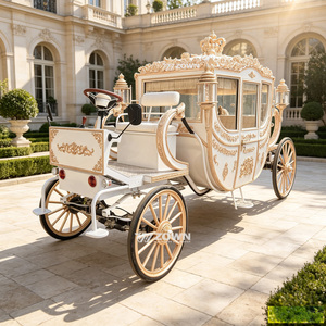 Carruaje Real Eléctrico de Lujo ZOWN, Vehículo Elegante para Ceremonias, Diseño Clásico Hecho a Mano para Bodas, Desfiles, Eventos y Negocios - Product Image 1