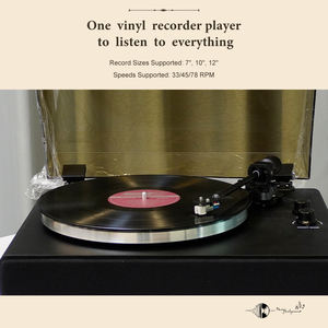 TRL30 personnalisé moderne <span class=keywords><strong>33</strong></span> 45 tr/min grande <span class=keywords><strong>platine</strong></span> <span class=keywords><strong>vinyle</strong></span> métal HiFi Bluetooth tourne-disque LP tourne-disque <span class=keywords><strong>vinyle</strong></span> avec haut-parleurs intégrés - Product Image 3