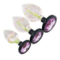Plug anal en résine transparente avec fleurs séchées pour hommes et femmes, pour dilatation anale, flirt, masturbation, stimulation, jouets sexuels