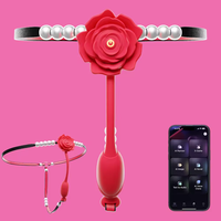 Vibrateur portable pour femmes, jouet sexuel pour adultes, mini-vibrateur à commande par application, jouet sexuel pour culotte
