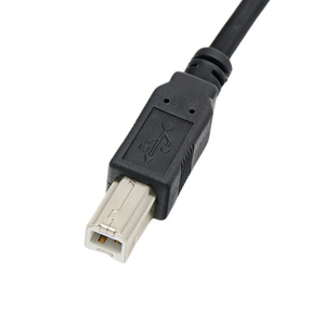 <span class=keywords><strong>Cable</strong></span> <span class=keywords><strong>de</strong></span> Impresora con Arnés <span class=keywords><strong>de</strong></span> Cables Personalizado USB2.0 AM <span class=keywords><strong>a</strong></span> BM, <span class=keywords><strong>Fibra</strong></span> Óptica, Revestimiento <span class=keywords><strong>de</strong></span> PVC, 0.3m 1m 5m, <span class=keywords><strong>Cable</strong></span> <span class=keywords><strong>de</strong></span> Transferencia <span class=keywords><strong>de</strong></span> Datos - Product Image 2