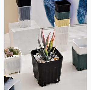 Macetas <span class=keywords><strong>de</strong></span> plástico para vivero, macetas cuadradas para flores, plántulas, <span class=keywords><strong>suculentas</strong></span>, maceta <span class=keywords><strong>de</strong></span> <span class=keywords><strong>Cactus</strong></span>, contenedor, macetas <span class=keywords><strong>de</strong></span> inicio <span class=keywords><strong>de</strong></span> <span class=keywords><strong>semillas</strong></span> - Product Image 6