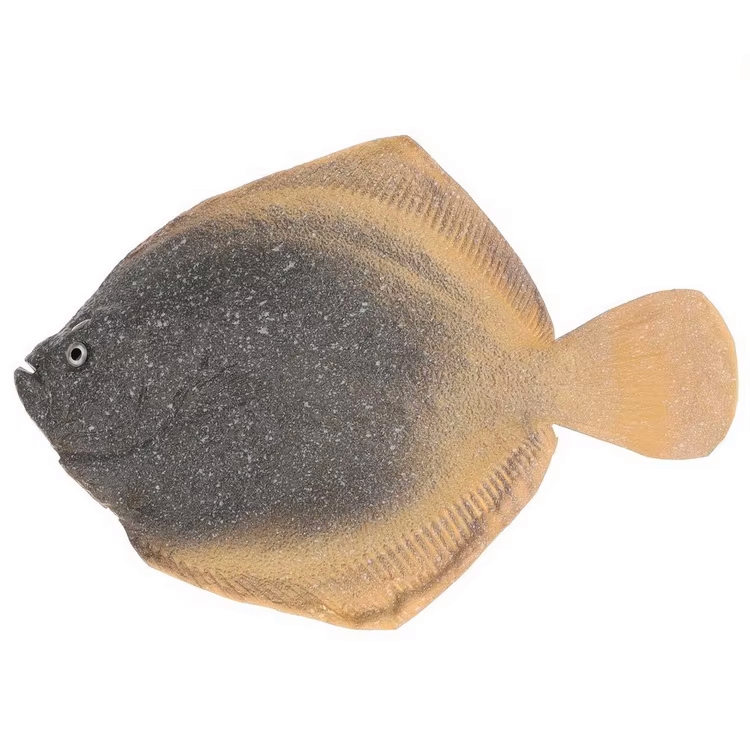 Turbot