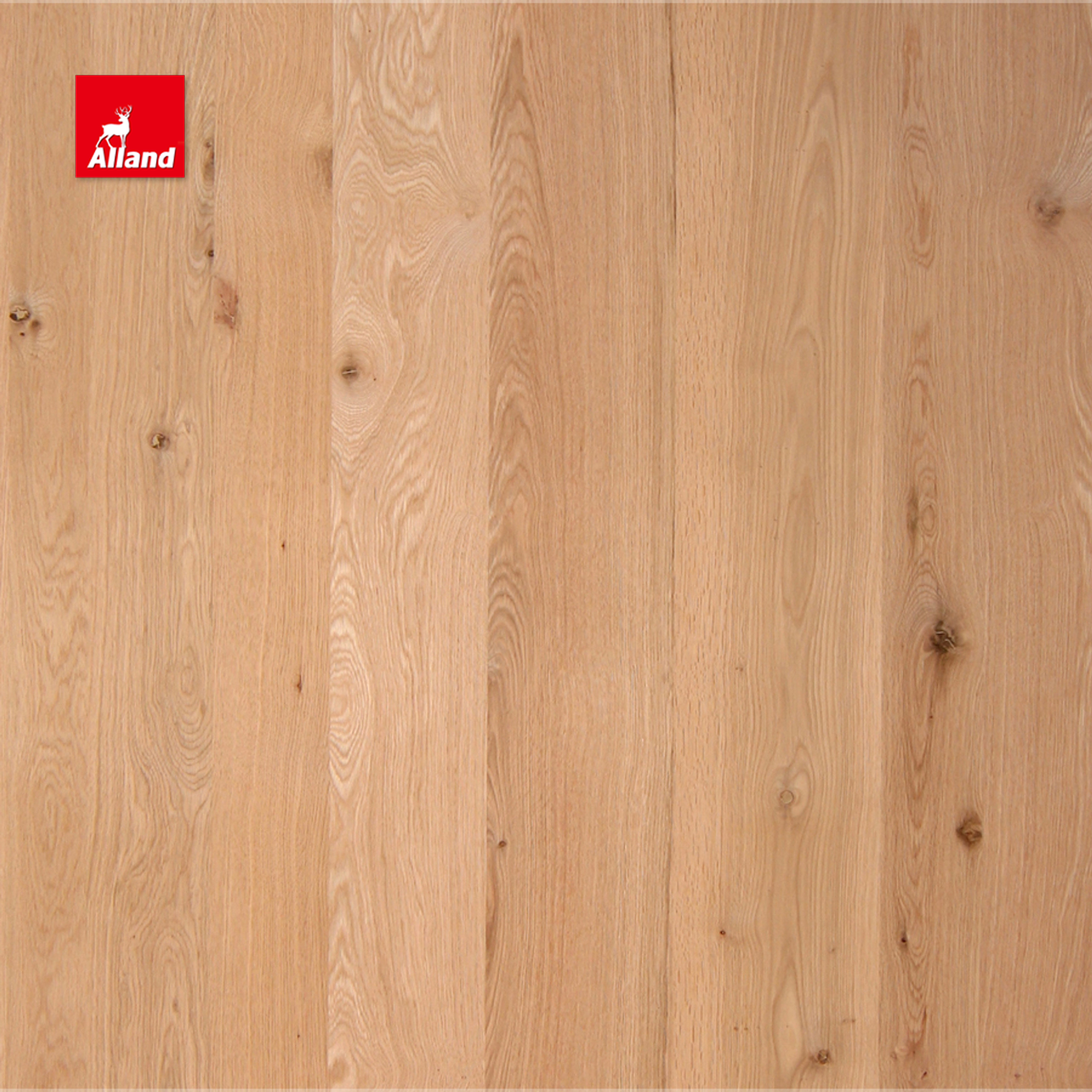 Knotty Alder oak