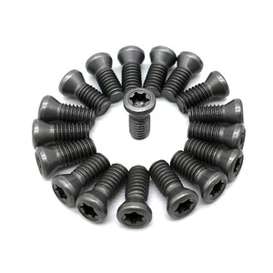 Vis Torx M1.6 M1.8 M2 M2.2 M2.5 M3 M3.5 M4 M4.5 M5 M6 Grade 12.9 SCM435, Vis hexalobulaires, Boulons à filetage mécanique, Clous - Product Image 2