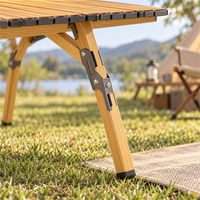 Table de camping pliante, pliable et portable, pour pique-nique en plein air, barbecue, plage, jardin, voyage, randonnée, pêche et autres utilisations