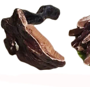 Bán Trực Tuyến Giá Rẻ Bổ Sung Nấm <span class=keywords><strong>Ganoderma</strong></span> Gyrophora Khô Toàn Bộ Cơ Thể Để Bán - Product Image 3
