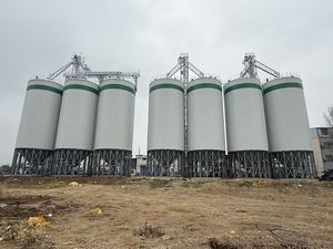 Silo de stockage de céréales vertical en acier galvanisé pour usage agricole à grande échelle (maïs, sésame, arachides, riz) - Product Image 2