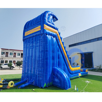 Vente Flash : Toboggan Aquatique Gonflable Tropical de 8,8 m pour Jardin, Qualité Commerciale, en PVC, Idéal pour Locations de Fêtes, Toboggans Aquatiques Gonflables pour Adultes