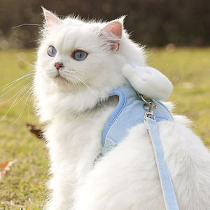 Imbracatura e guinzaglio unico personalizzato Set di imbracature per cani e guinzagli per animali domestici Set accessori per cani - Product Image 5